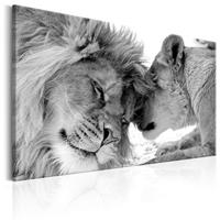Artgeist Lions Love Leinwandbild 60x40cm