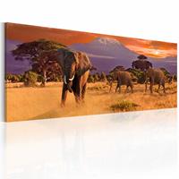 Karo-art Schilderij - Het marcheren van Olifanten, Afrika, multi-gekleurd, premium print