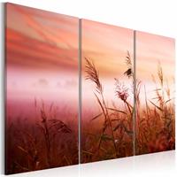 Karo-art Schilderij - Mistige Weide II, 3luik , roze , wanddecoratie , premium print op canvas