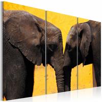 Karo-art Schilderij - Kus van een Olifant, geel/bruin, wanddecoratie, 3luik , print op canvas