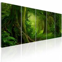 Karo-art Schilderij - Tropische Jungle , boom , 5 luik