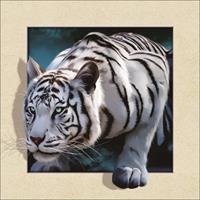 Karo-art Schilderij - Witte Tijger 3D Look, 30x40