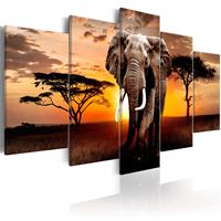 Artgeist Elephant Migration Leinwandbild 5-teilig 100x50cm