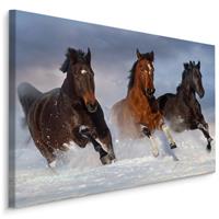 Karo-art Schilderij - Galopperende paarden in de sneeuw, premium print, wanddecoratie