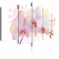 Karo-art Schilderij - Delicate Orchidee , wit roze , 5 luik