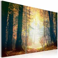 Karo-art Schilderij - Schoonheid van de Herfst, 3luik , bruin geel , premium print op canvas