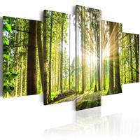 Karo-art Schilderij - Koninklijk Bos , Groen/Bruin, 5luik , premium print op canvas