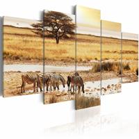 Karo-art Schilderij - Zebra's op de Savanne - Afrika, 5luik, Geel/beige, wanddecoratie