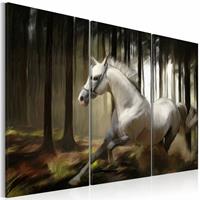 Karo-art Schilderij - Paard in het bos, schimmel , zwart wit , 3 luik