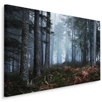 Karo-art Schilderij - Bos in de mist, premium print, natuur aan de muur