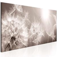 Artgeist Summer Dandelions Leinwandbild 135x45cm