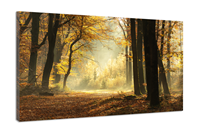 Karo-art Schilderij - Pad door een mistige bos tijdens een prachtige mistige herfst dag, 120x80cm Premium print