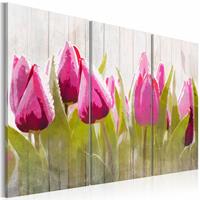 Karo-art Schilderij - Tulpen in de lente , roze groen , 3 luik