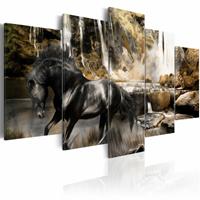 Karo-art Schilderij - Zwart Paard voor Waterval III, zwart/geel,Wanddecoratie , premium print , 5luik