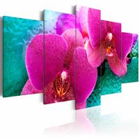 Karo-art Schilderij - Exotische Orchidee , roze groen , 5 luik