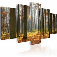 Karo-art Schilderij - Mooi Landschap, Bos, 5luik , groen bruin , premium print op canvas