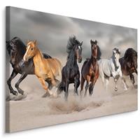 Karo-art Schilderij - Kudde wilde paarden, premium print, wanddecoratie