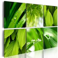 Karo-art Schilderij - Groene Bladeren, Groen, 6luik , premium print op canvas