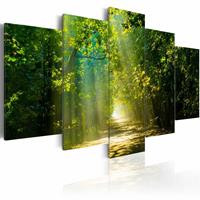 Karo-art Schilderij - Zonnig Bospad ,Groen, 5luik , premium print op canvas