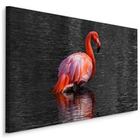 Karo-art Schilderij - Flamingo in het water, 4 maten, roze/grijs, Premium print