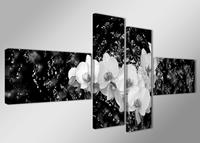 Karo-art Schilderij - Orchidee, Zwart-Wit, 160X70cm, 4luik