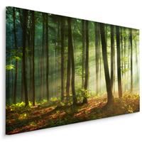 Karo-art Schilderij - Prachtige ochtend in het bos, een echte eyecatcher, premium print