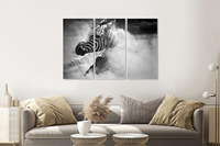 Karo-art Schilderij -Zebra in het stof, 3 luik, 120x80cm, premium print