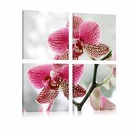 Karo-art Schilderij - Orchidee in 4 delen , wit roze , 4 luik