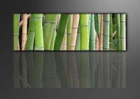 Karo-art Schilderij - Bamboe, Groen, 120X40cm, 1luik