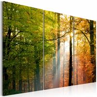 Karo-art Schilderij - Stil Herfstbos, 3luik , groen oranje , premium print op canvas