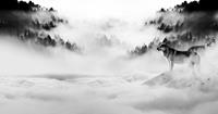 Karo-art Schilderij -Wolven in de mist, zwart/wit, 120x60cm. premium print