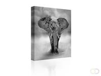 Canvas Elephant- Sound art