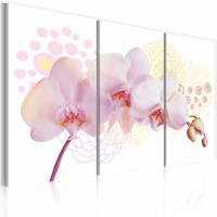 Karo-art Schilderij - Witte dame, Orchidee , 3 luik , roze