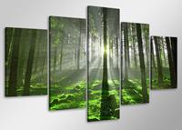 Karo-art Schilderij - Zonlicht door de bomen, Bos, 100x50 cm. 5 luik, wanddecoratie