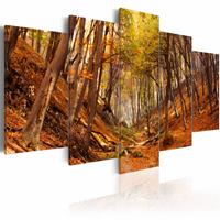 Karo-art Schilderij - Oranje Herfst, 5luik , premium print op canvas