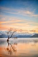 Karo-art Schilderij - Meer Wanaka Otago, Nieuw-Zeeland , Multikleur , 3 maten , Premium print