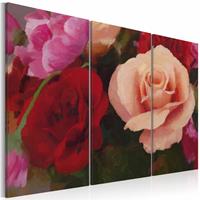 Karo-art Schilderij - Perfectie op canvas, rozen , roze rood , 3 luik