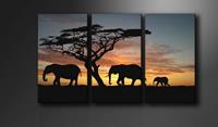 Karo-art Schilderij - Olifant Afrika, Zwart/Oranje, 160X90cm , 3luik