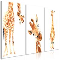 Karo-art Schilderij - Grappige Giraffe, 3 luik