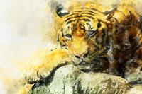 Karo-art Schilderij - Tijger aquarel (print op canvas), 2 maten, Premium print