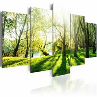 Karo-art Schilderij - Door de Bomen, Groen, 5luik , premium print op canvas