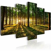 Karo-art Schilderij - Avontuur in het Bos, 5luik , bruin groen , premium print op canvas