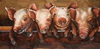 Karo-art Schilderij - Metaalschilderij - Vrolijke varkens, 120x60cm