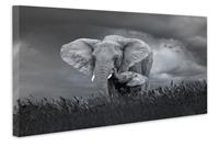 Karo-art Schilderij - Moeder en baby olifant, Zwart-Wit, 2 maten, Premium print