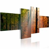 Karo-art Schilderij - Zonnestralen door de Bomen, 4luik , groen oranje , premium print op canvas