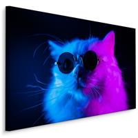 Karo-art Schilderij - Cool Cat, paars/blauw, 4 maten, premium print