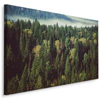 Karo-art Schilderij - Groen bos met mist, 4 maten, premium print