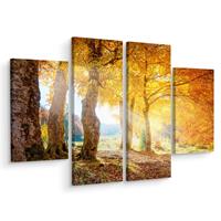 Karo-art Schilderij - Zonnig herfst bos, print op canvas, 4 luik, premium print