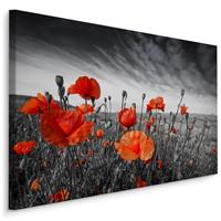 Karo-art Schilderij - Rode Klaprozen, zwart-wit/rood, 4 maten, premium print