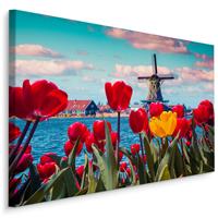 Karo-art Schilderij - Hollandse tulpen en molens, multi-gekleurd, 4 maten, wanddecoratie